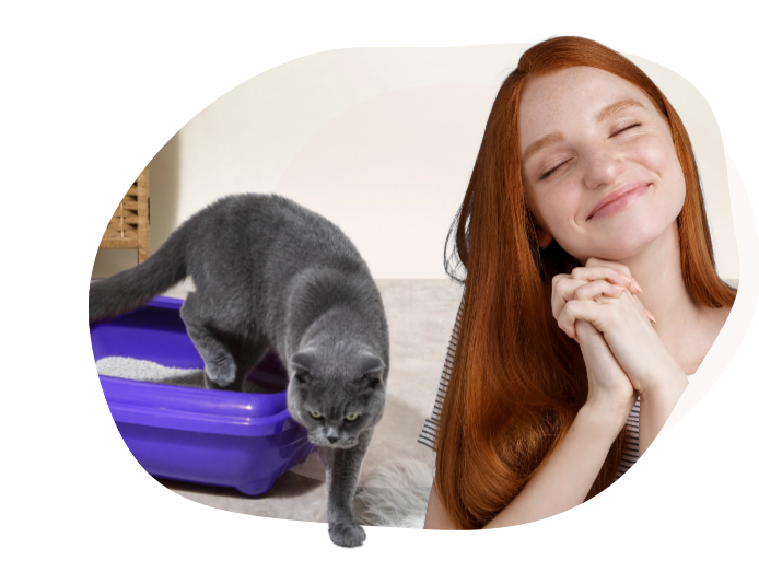 Eliminate your cat litter stench Immediately! MoodifyUK